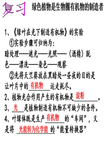 第一节光合作用吸收二氧化碳释放氧气