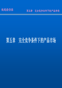 第五章 完全竞争条件下的产品市场