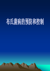 布氏菌病的预防和治疗演示课件