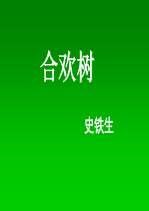 《合欢树》课件