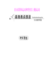 2012届高考物理一轮复习《自由落体运动和竖直上抛运动》课件