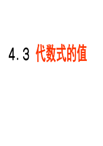 4.3代数式的值 新浙教版 七上数学