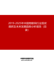 2019-2025年中国物联网行业现状调研及未来发展趋势分析报告