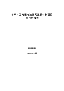 年产1万吨锂电池三元正极材料可行性报告