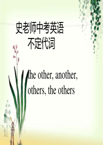 史老师中考不定代词the-other-another--others-the-others的区别