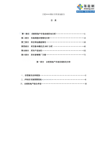 项目全程策划报告