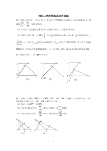 相似三角形复习(经典提高训练)2