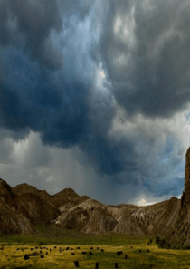 人教版一年级语下册《要下雨了》