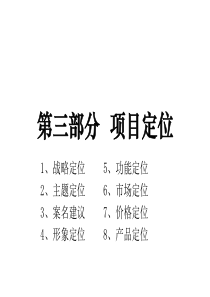 项目策划报告3