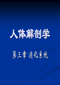 人体解剖学 第三章 消化系统-消化管-消化道