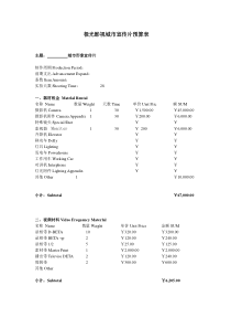 城市宣传片预算表