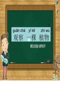 小学科学《观察一棵植物》PPT