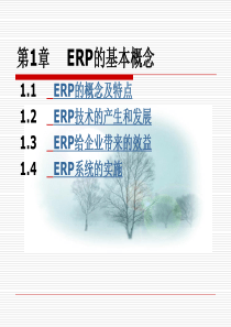 ERP的基本概念