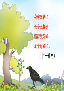 人教版小学一年级乌鸦喝水PPT课件