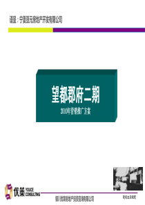 望都二期2010年营销推广方案