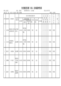 安全检查分析及风险评价表(汇总)