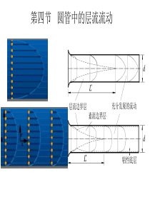 圆管中的层流流动