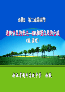 说课课件获奖