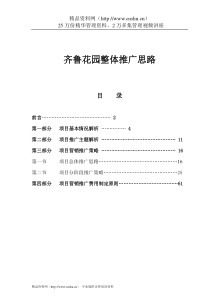 齐鲁花园整体推广思路