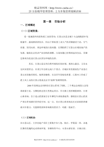 （西成忆树）策划报告(doc51页)