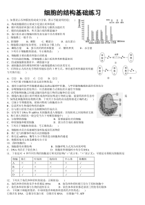 高中生物一轮复习-细胞的结构基础练习题