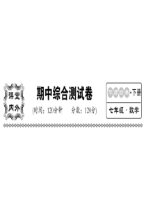 2018-2019学年华师大版七年级数学下册教用：期中检测