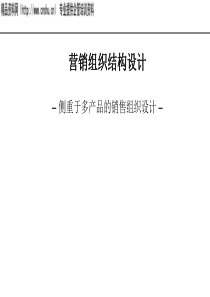 营销组织结构设计——侧重于多产品的销售组织设计