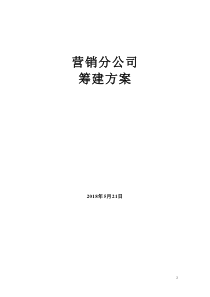 集团分公司筹建方案