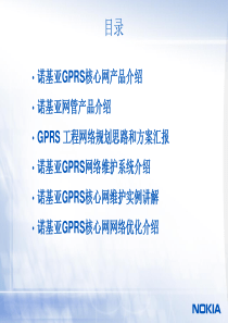 诺基亚GPRS核心网产品介绍