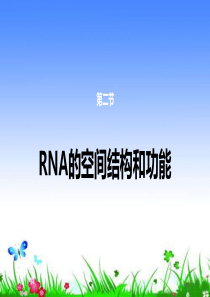 RNA结构与功能