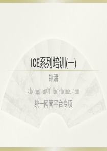 2019ICE系列培训(一).ppt