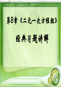 二元一次方程组经典习题讲解