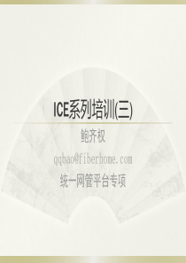 ICE系列培训(三)