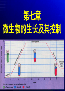 第七章-微生物的生长及其控制2010