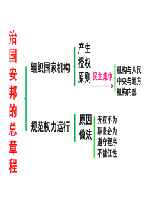 坚持依宪治国