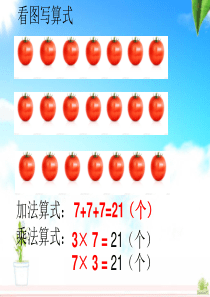 人教版数学二年级上册《第六单元》总复习