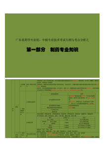 2018年广东省药学专业初、中级专业技术考试大纲与考点分析共三科