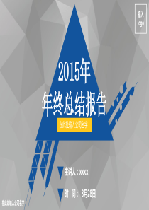 2015年终总结报告 工作汇报