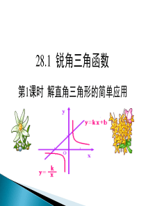 28.2.2 第1课时 解直角三角形的简单应用