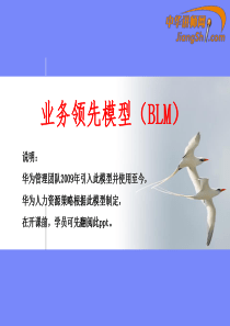 业务领先模型(BLM)-中华讲师网