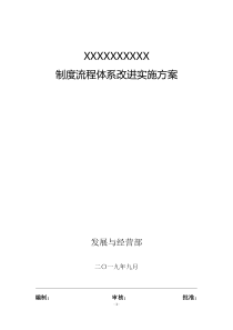 制度流程体系改进实施方案