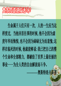 名著导读《钢铁是怎样炼成的》PPT教学课件