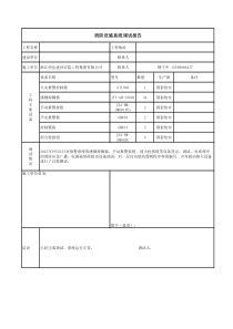 调试报告样本