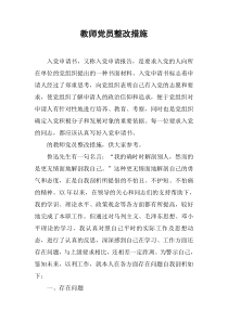 教师党员整改措施