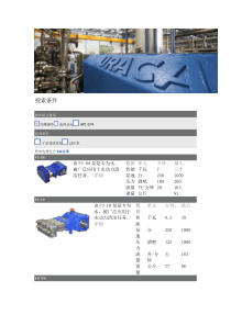 URACA乌拉卡清洗泵P3-08