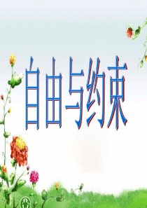 自由与约束主题班会改好