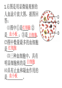 初中生物总复习题