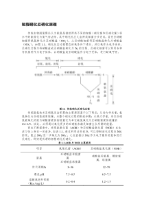 短程硝化反硝化原理