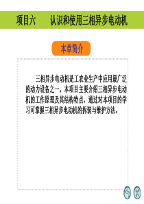 项目六--------认识和使用三相异步电动机