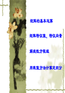 matlab软件——矩阵与线性方程组